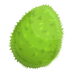 Tasty whole durian icon. Cartoon of tasty whole durian vector icon for web design isolated on white background