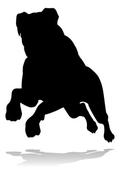 recommend clip art: A detailed animal silhouette of a pet dog