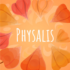 Ground physalis concept background. Cartoon illustration of ground physalis vector concept background for web design