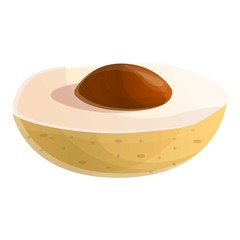 Thailand longan icon. Cartoon of thailand longan vector icon for web design isolated on white background