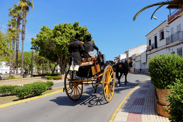 Driving carriages down a street in an Andalusian village