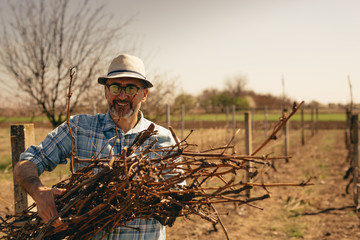 50-60 years old man working in vineyard