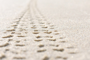 bicycle tracks on the sand