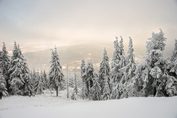 View on  Swieradow Zdroj resort in snowstorm, northern slope of Jizera Mountains, Poland
