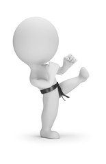 3d small people - karate