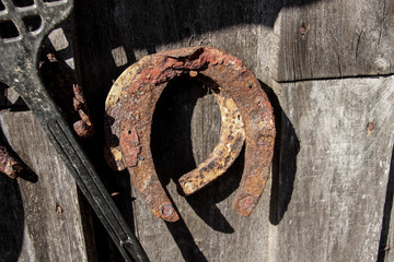 Rusty horseshoes hang on a wooden wall