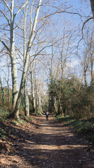 Naklejka premium Girl walking in the forest