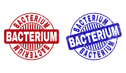 Grunge BACTERIUM round stamp seals isolated on a white background. Round seals with grunge texture in red and blue colors. Vector rubber imprint of BACTERIUM title inside circle form with stripes.