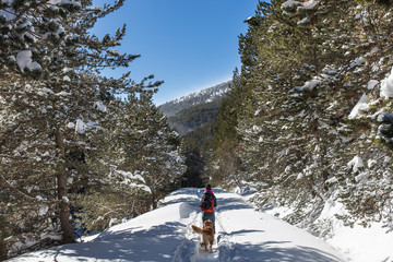 Woman with her dog coming down from the shelter of "Comes de Rubió" in winter with snowshoes, Soriguera, Lleida, Catalonia, Spain.