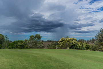 green field and blue sky