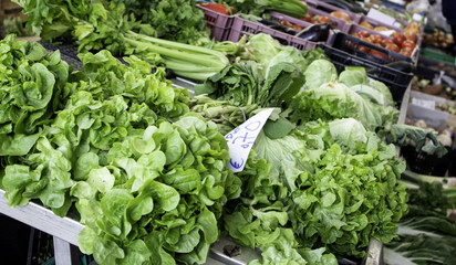 Vegetable  in greengrocer