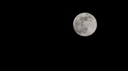 Obraz premium Super Moon 
