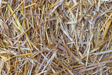 texture background dry straw, selective focus