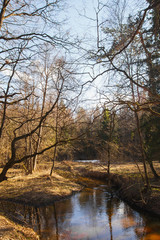 Fototapeta na wymiar Forest River in the early spring at sunset