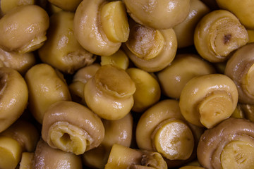 Texture of the canned mushrooms for the background