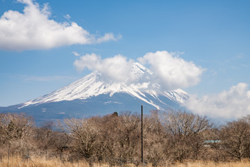 Fototapeta premium 早春の富士山