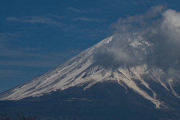 Fototapeta na wymiar 早春の富士山