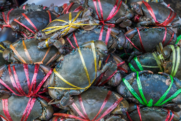 Fresh crabs in the market