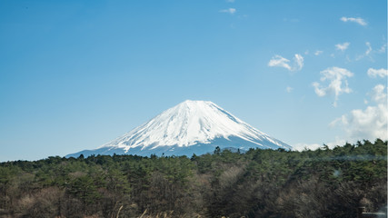 Fototapeta premium 早春の富士山