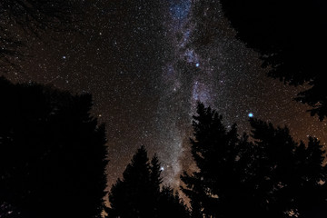 The night sky with millions of stars and galaxies overlooking the Carpathian peaks, spruce and mountain houses.