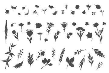 Fototapeta na wymiar Big collection of flowers and plants. Used for various types of design. Linear style. Vector illustration