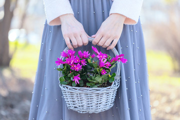 girl holding a basket of flowers in the Park . hands basket with flowers close-up