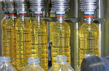 Sunflower oil in the bottle moving on production line in a factory. Filling machine