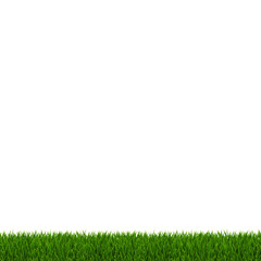 Green Grass Frame White Background