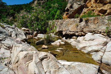 Vista del Rio Palaceris