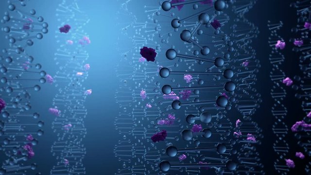 DNA Encodes for Proteins