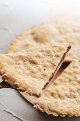 A stylish photo of a piece of a thin pie with fruit filling. Brown cake with berries.