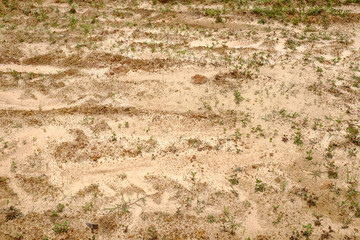 ground with stone texture