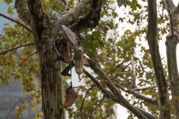 A bunch of old shoes and sneakers, hanging on a tree in the rain closeup