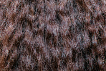 Brown hair close up. Textures and background