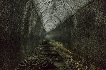 the entrance to the tunnel in the forest