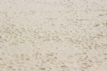 Fototapeta premium Sandy background. Deserted beach. Footprints in the sand. Uneven surface.