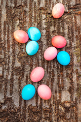 Easter concept pink (rosy) and blue eggs. On wooden bark background, top view