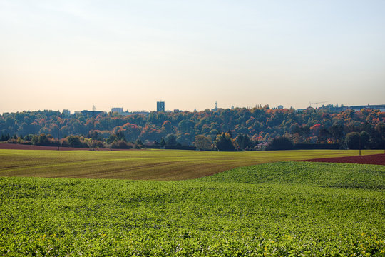 Agricultural fields in autumn, plowing and sowing of winter crops