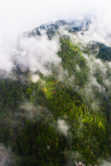 Top down turquoise forest on the mountainside under the clouds-.  fog (aerial photo with paraglider), summer holidays in the Caucasus in Abkhazia.