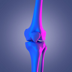 3d rendered abstract rendering of the knee joint