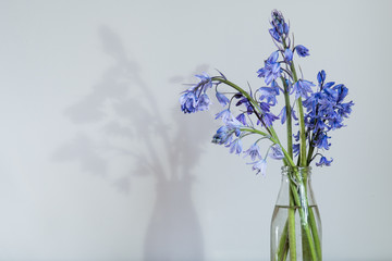 Bluebells in a Milk Bottle