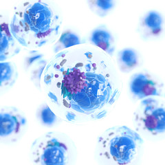 3d illustration of a human cell
