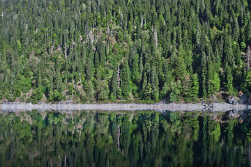 Steep shore with spruce trees in summer, the trees are reflected in the water of a mountain lake....