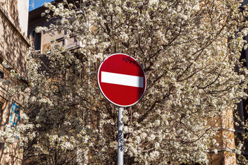 no entry sign on the road