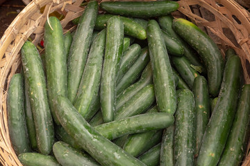 Cucumbers in a basket, market, background