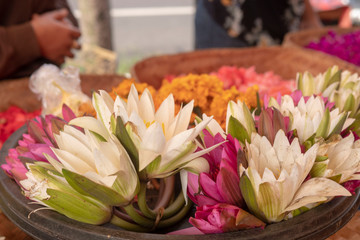Sale of flowers in the Bali market
