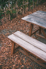 ベンチと落ち葉　秋イメージ