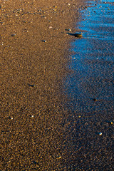 Sand and stones on the seashore after a surging wave in the sunset rays of the sun. background image. Tourism in Abkhazia.