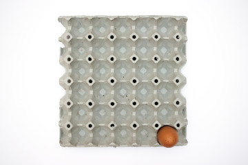 Eggs on white background