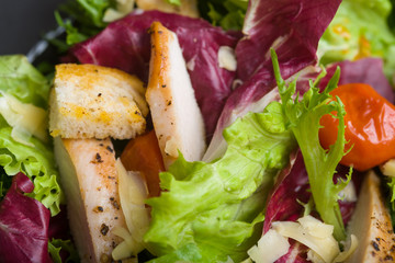 Healthy chicken salad with lettuce, grilled tomato, croutons, shredded cheese and grilled chicken